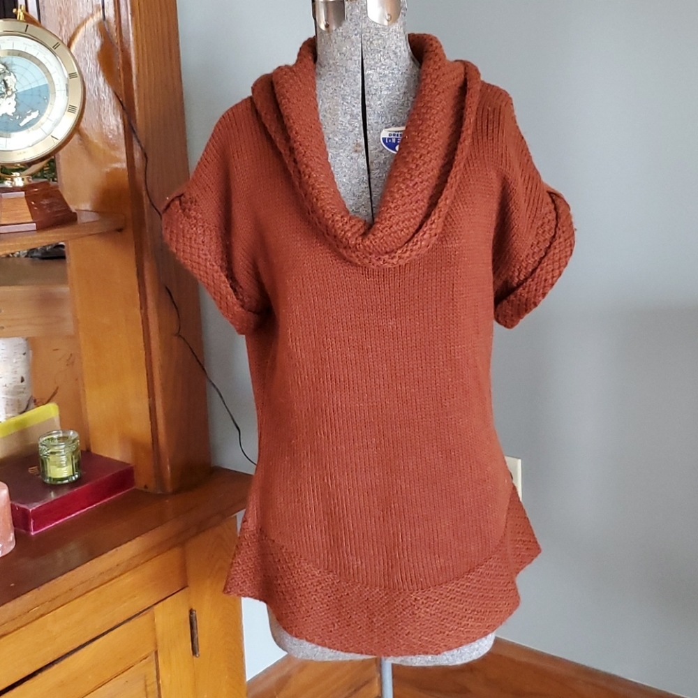 Short sleeve cowl neck sweater